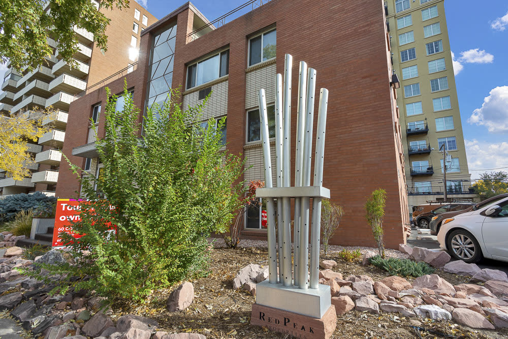 60 Corona Image 5