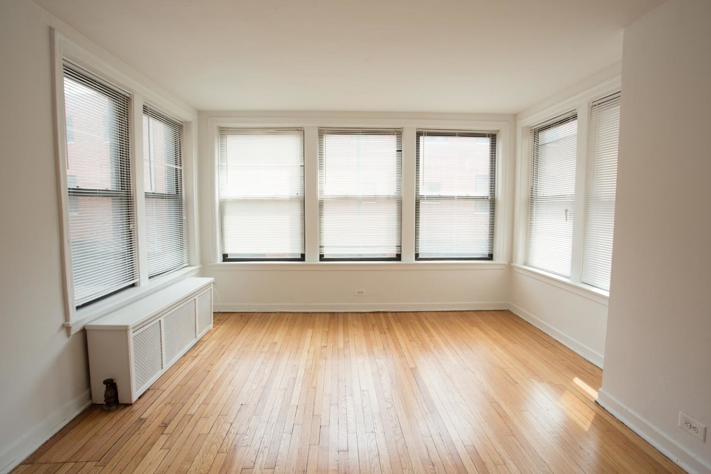 5337 S. Hyde Park Boulevard Image 4