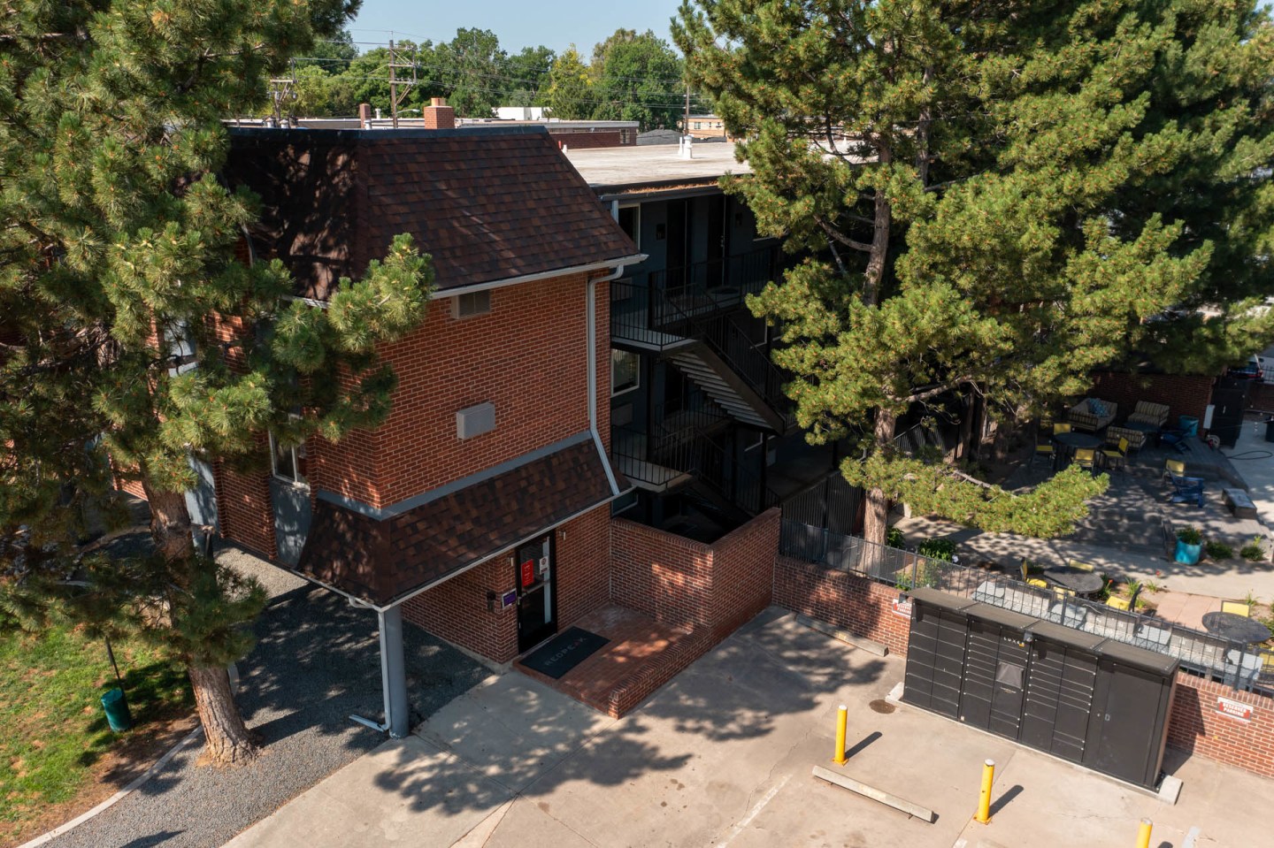 805 Dahlia Image 14