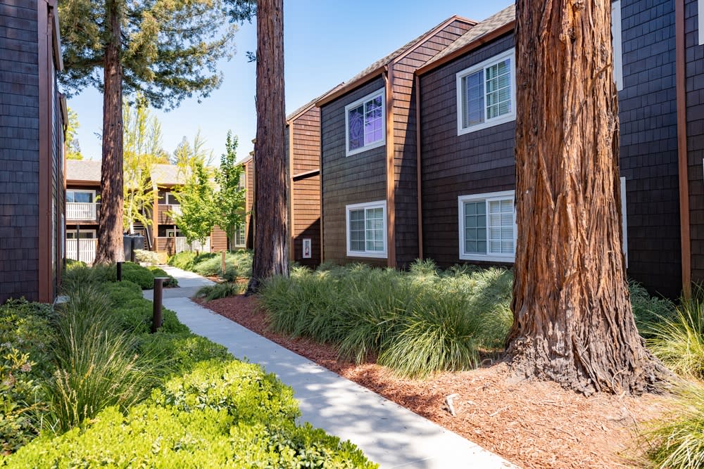 GROVE Apartments Image 29