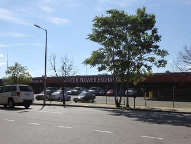 601 Albany Image 3