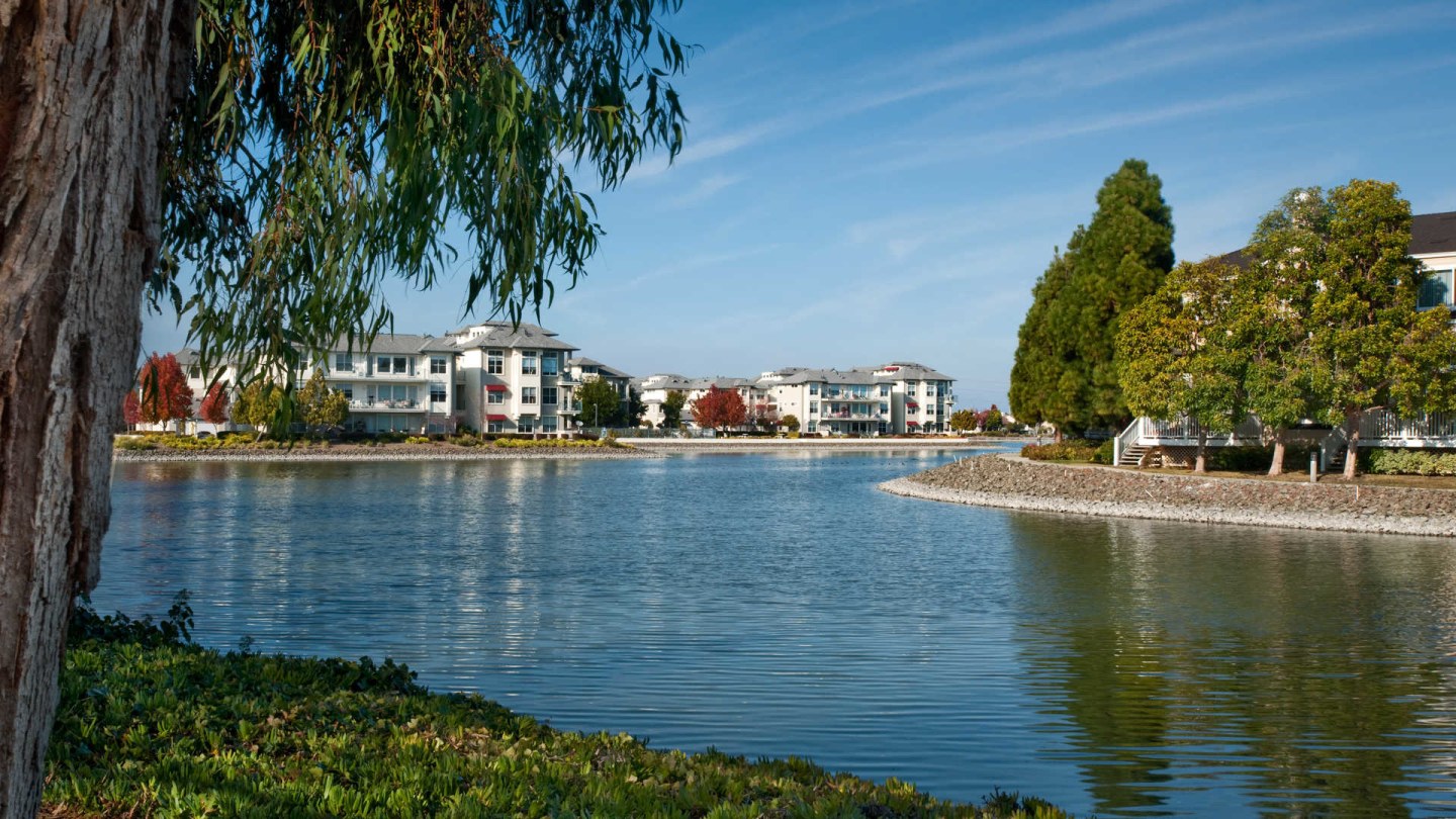 Riva Terra Apartments at Redwood Shores Image 18