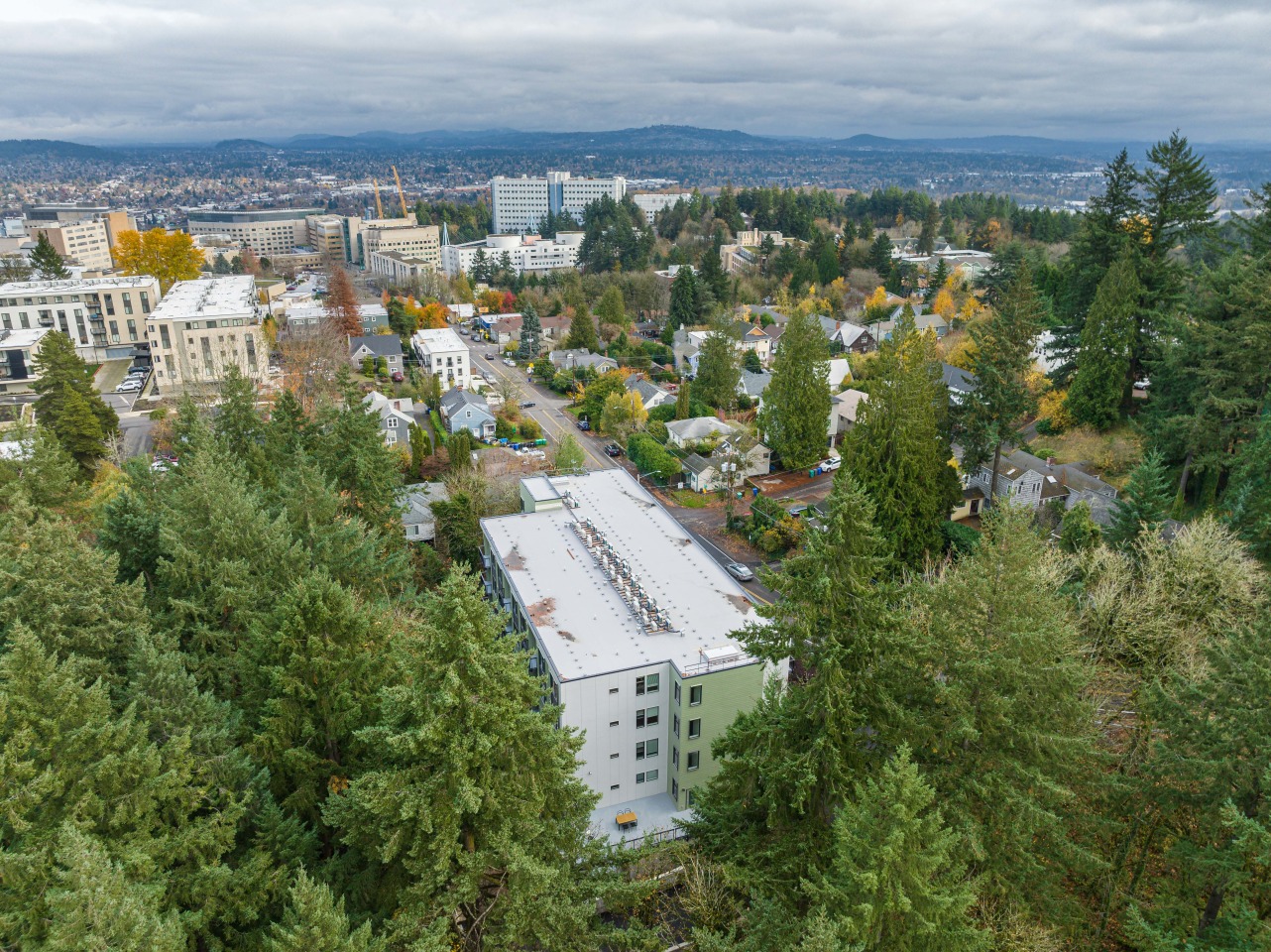 The Woods on Marquam Hill Image 15