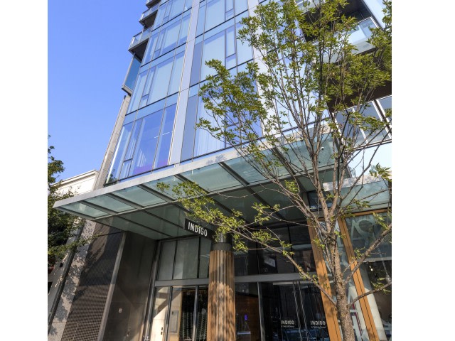 Indigo Image 38