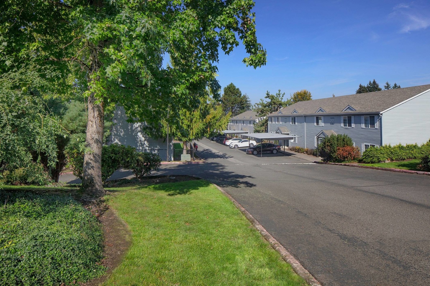 Avana Evergreen Image 61