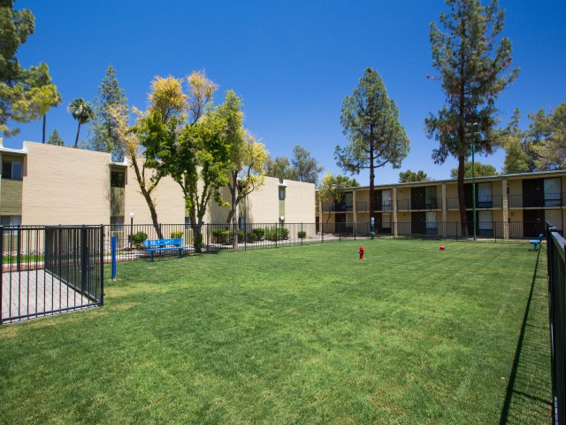 Scottsdale 59 Image 14