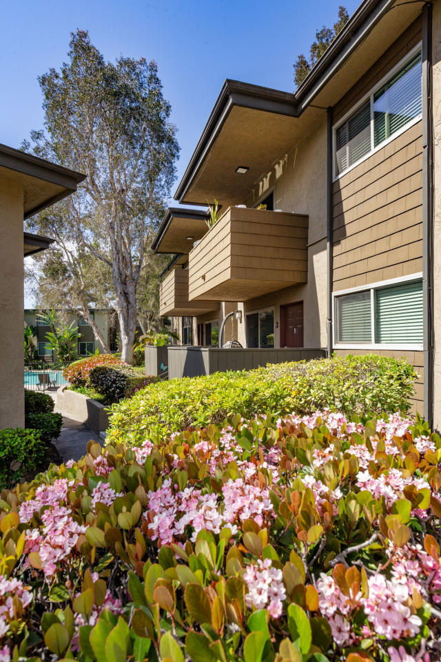 Elán Solana Pointe Image 3