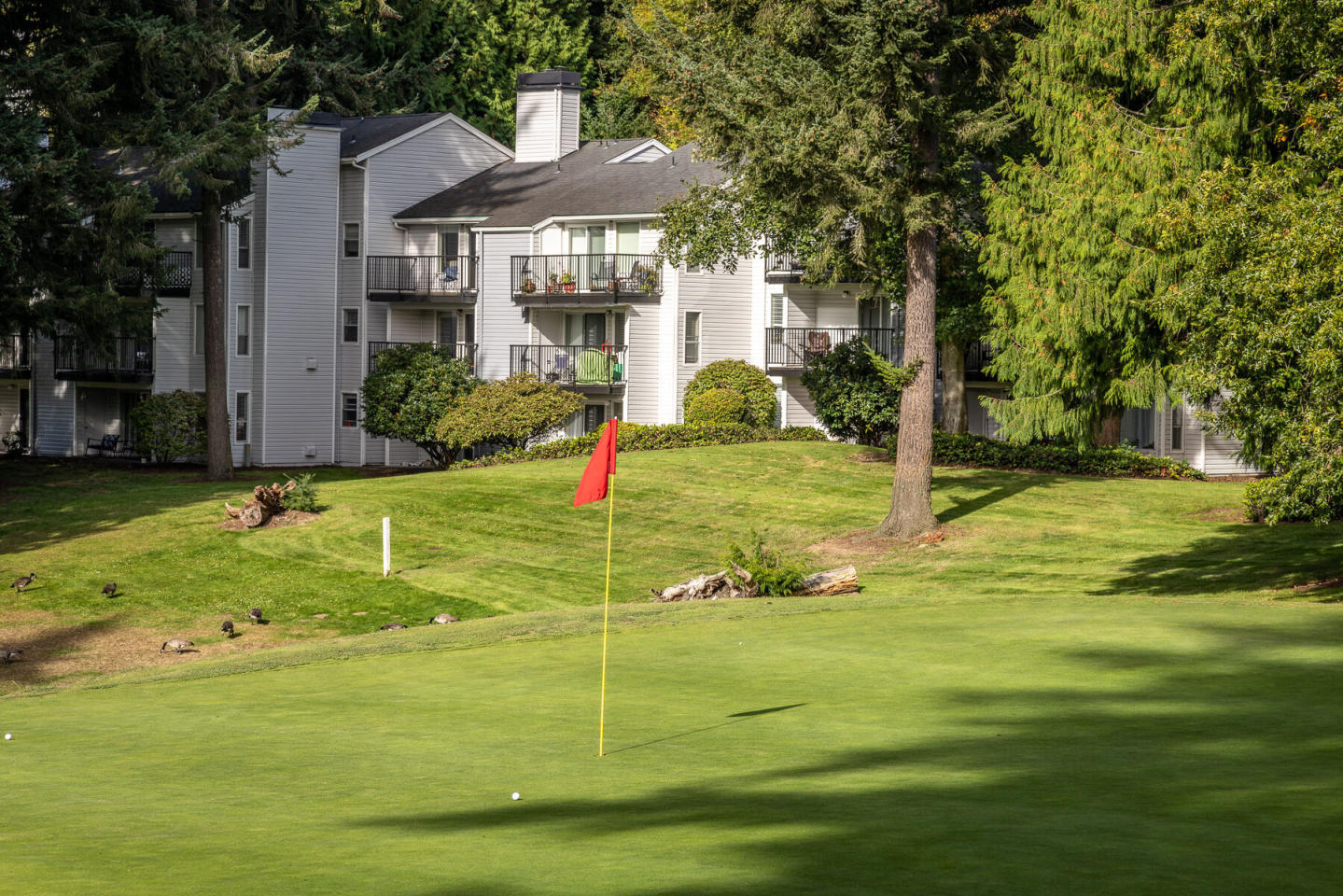 The Fairways Apartments Image 60