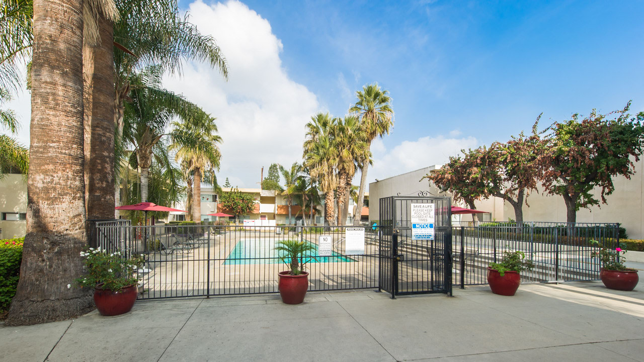 Las Palmas Apartments Image 5