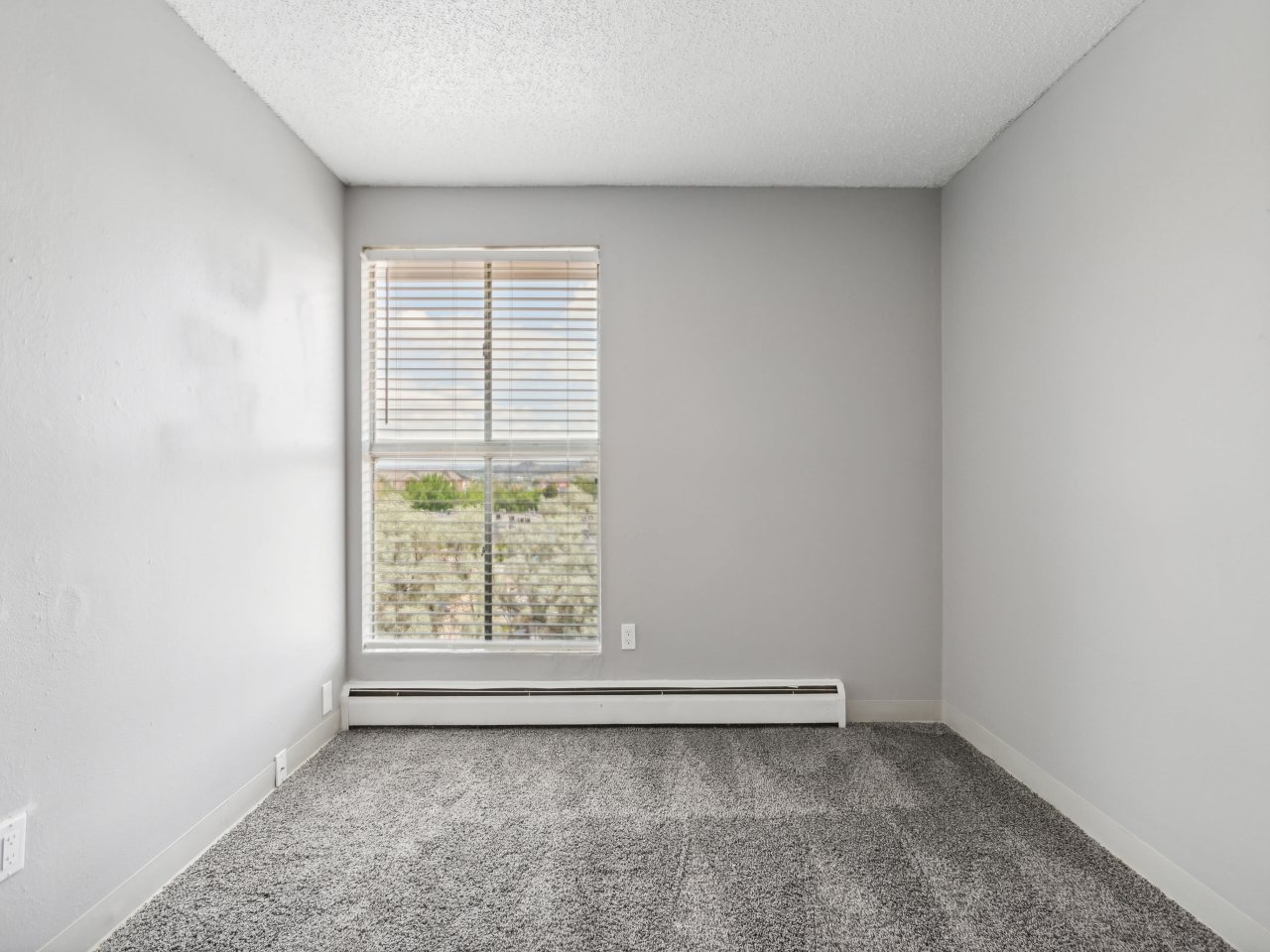 Chestnut Springs Apartments Image 18