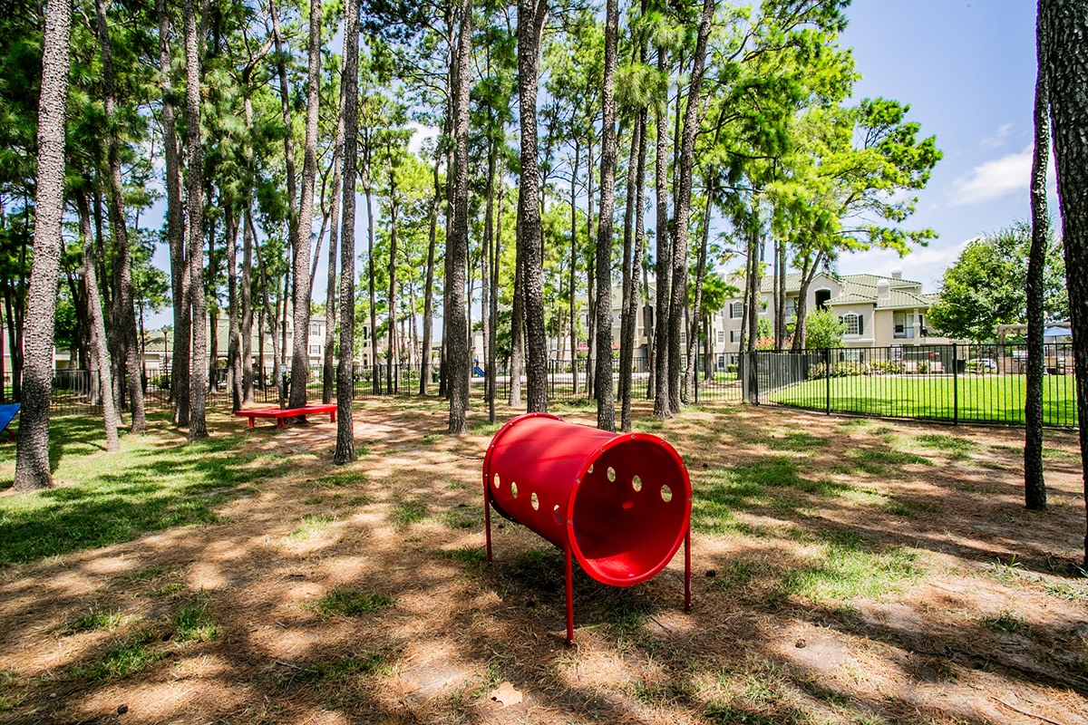 Chandler Park Apartment Homes Image 19