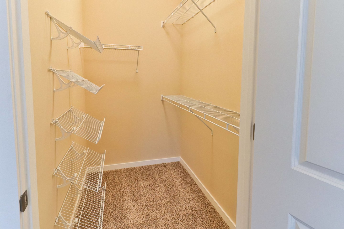 The Fenimore Phase II Image 12
