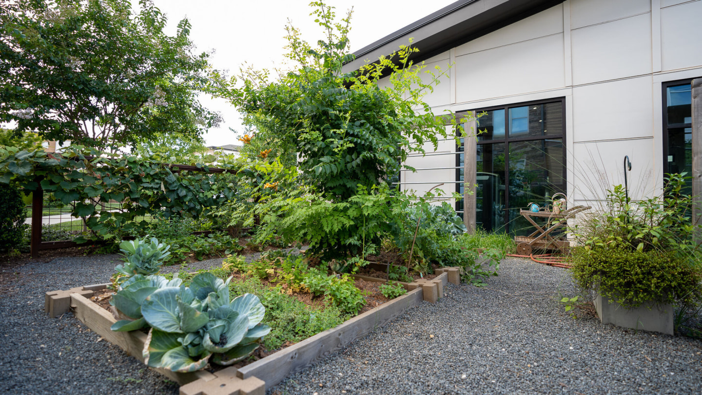 The Sawyer Providence Farm Image 11