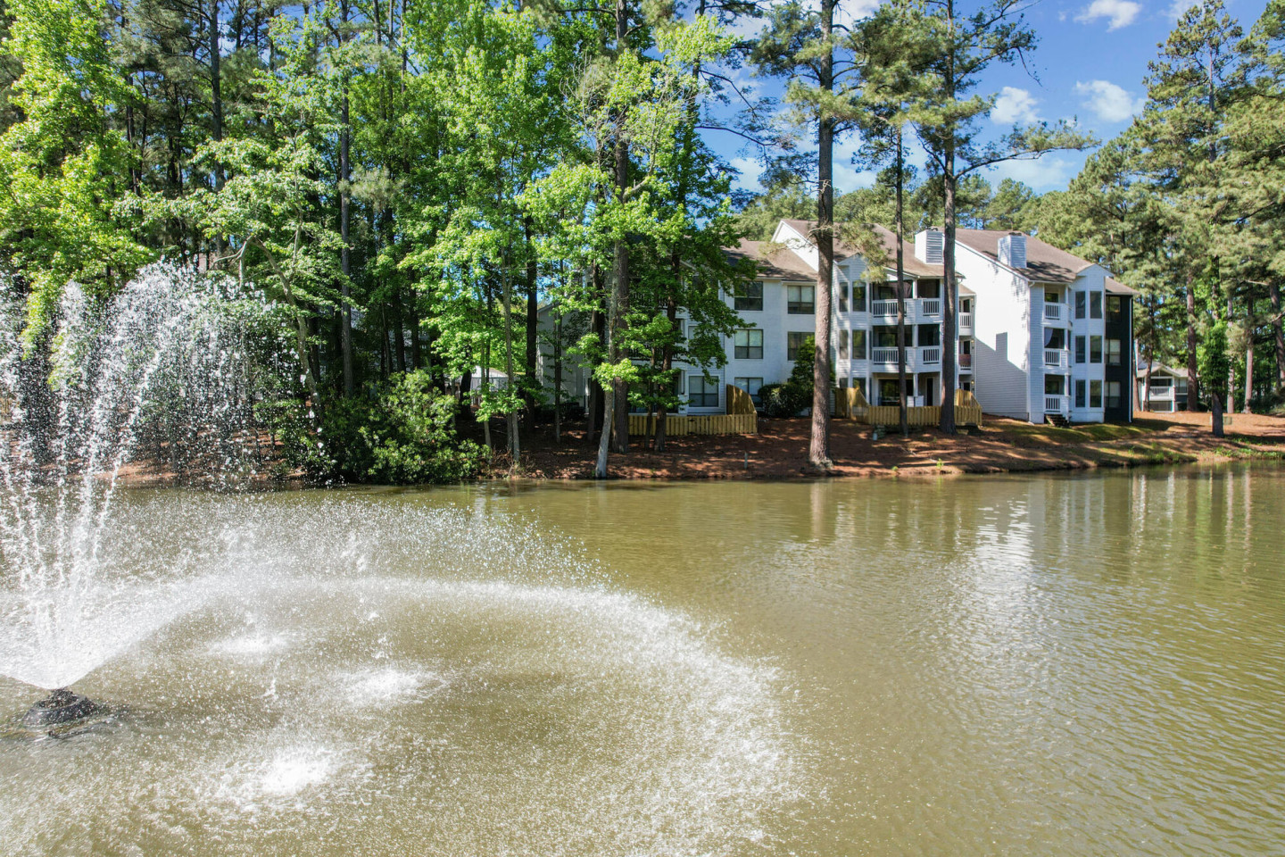 The Bailey Apartments Image 57