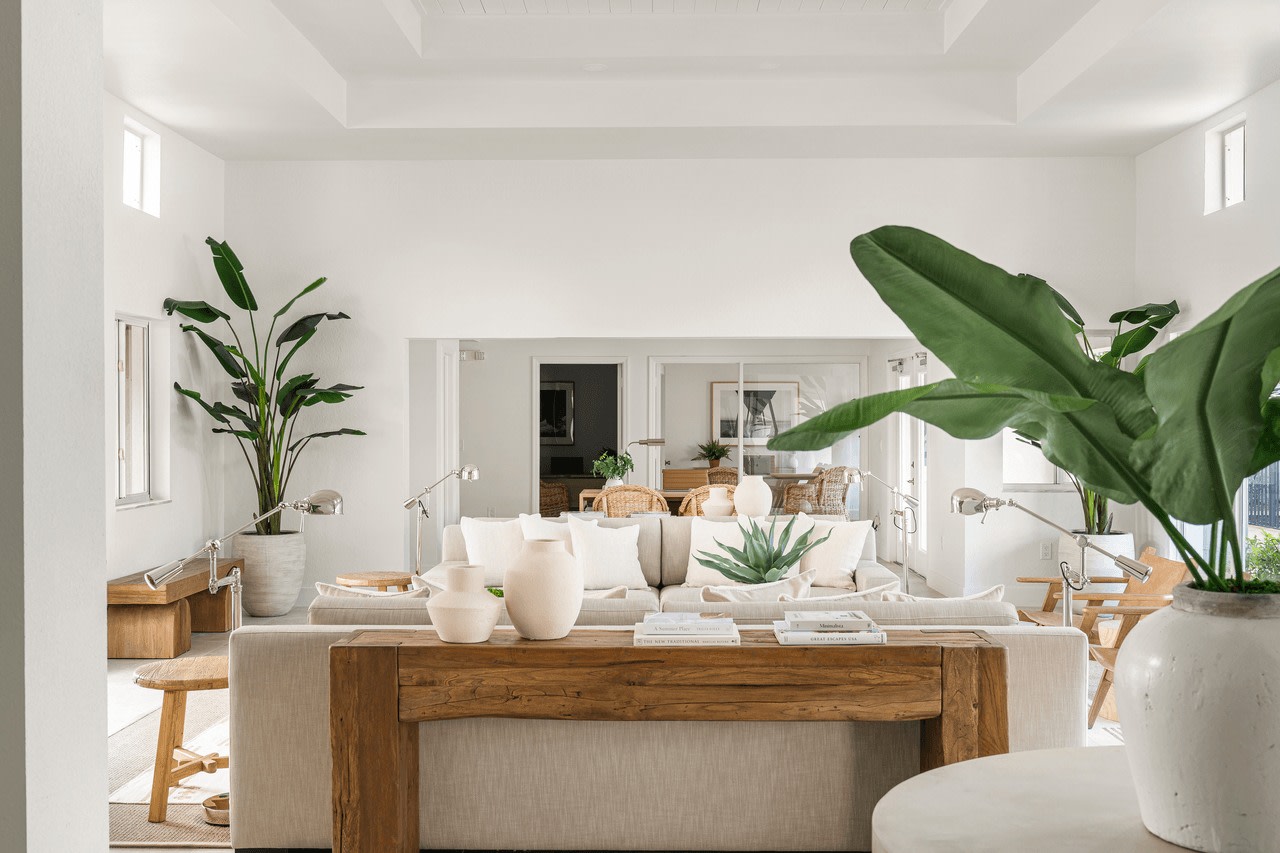 Coconut Palm Club Image 20