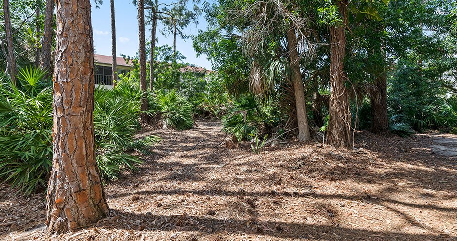 Gulfshore Apartment Homes Image 26