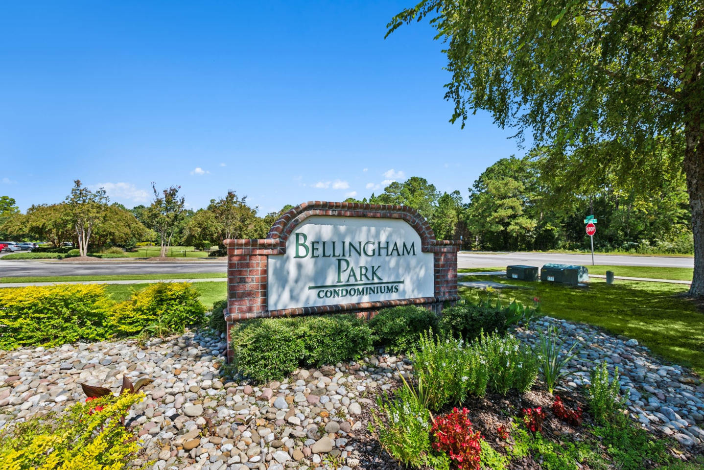 Bellingham Park Image 5