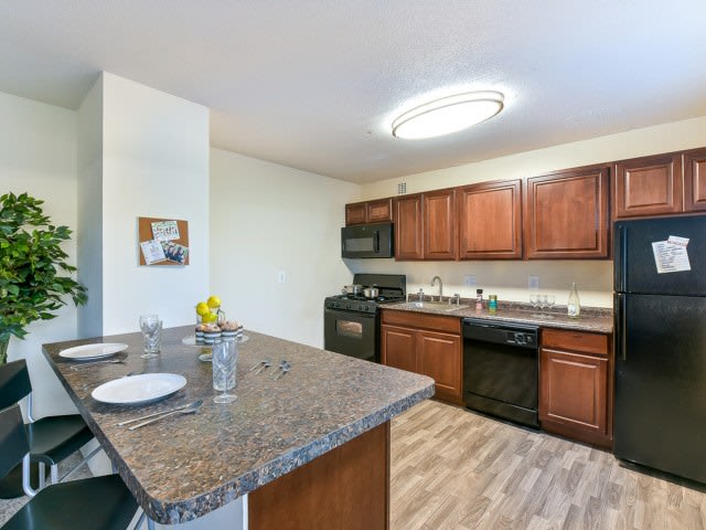 Hampshire Tower Apartments - Affordable Housing Image 11