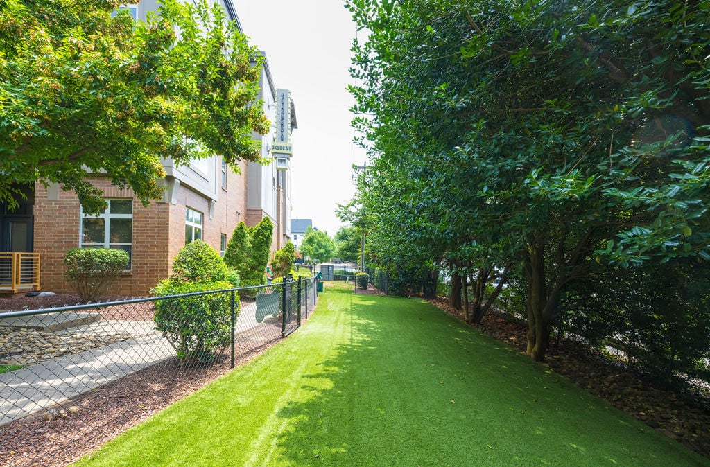 Elizabeth Square Image 11