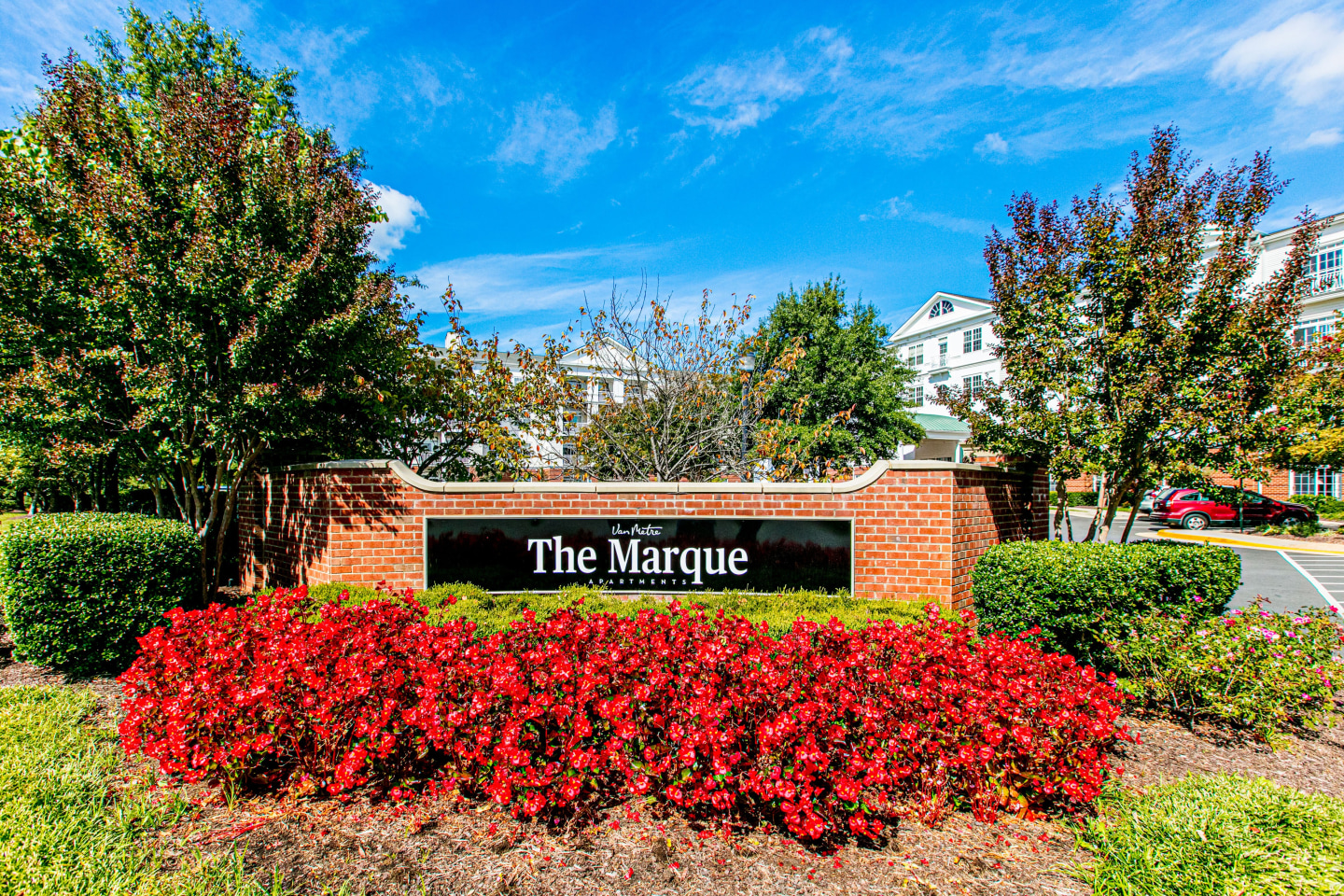 The Marque Image 1