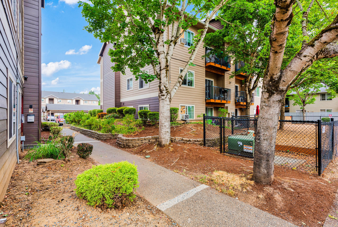 Chelsey Lane Image 18