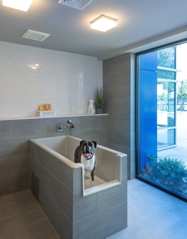 Luxe at Alewife Image 12