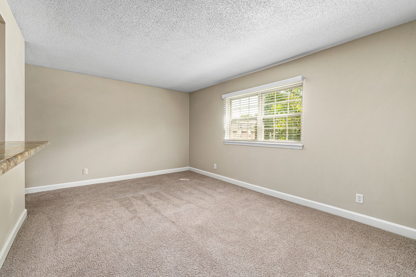 Student Housing - Collins Crossing Image 16