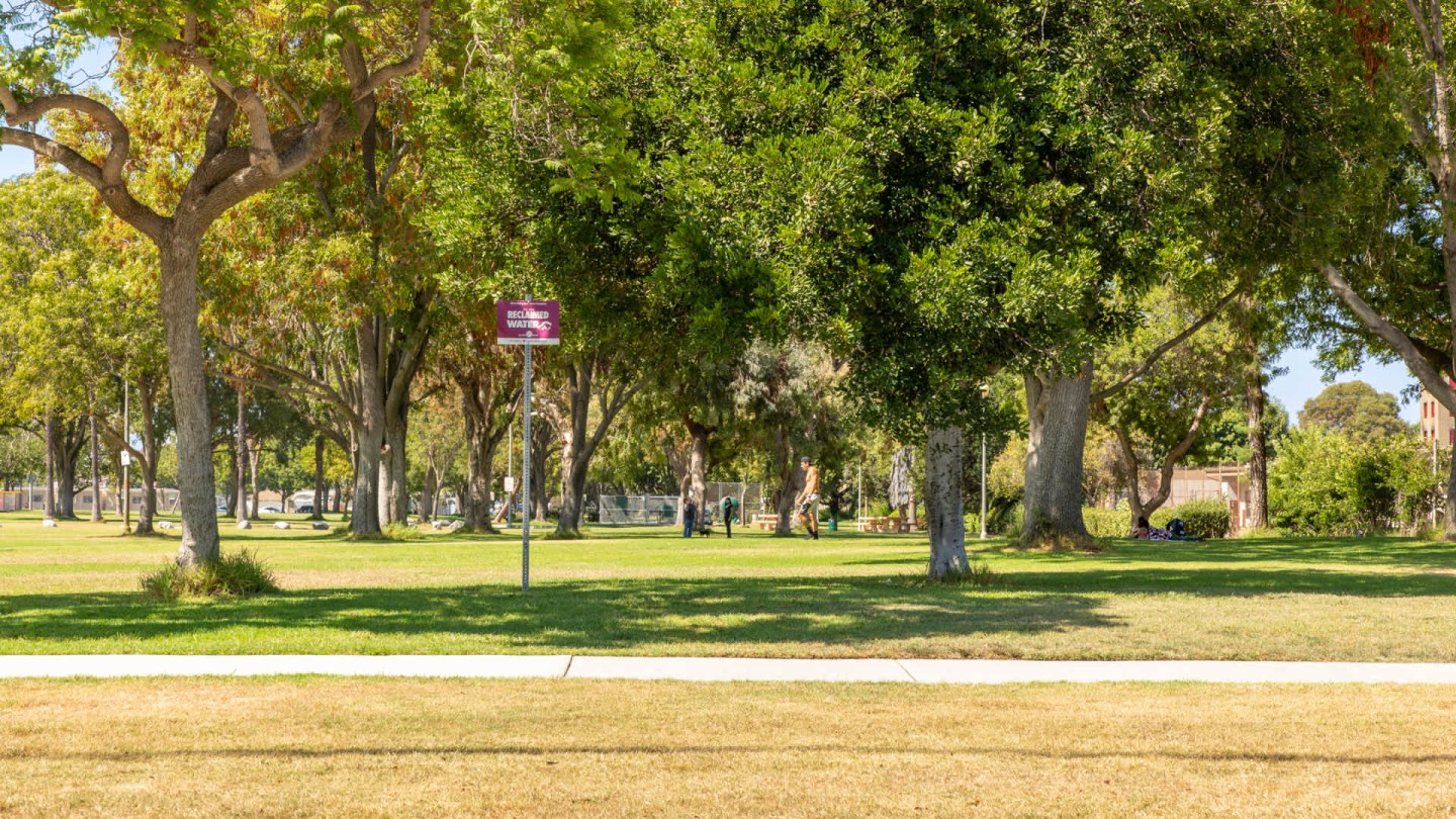 Bay Hill Apartments Image 1