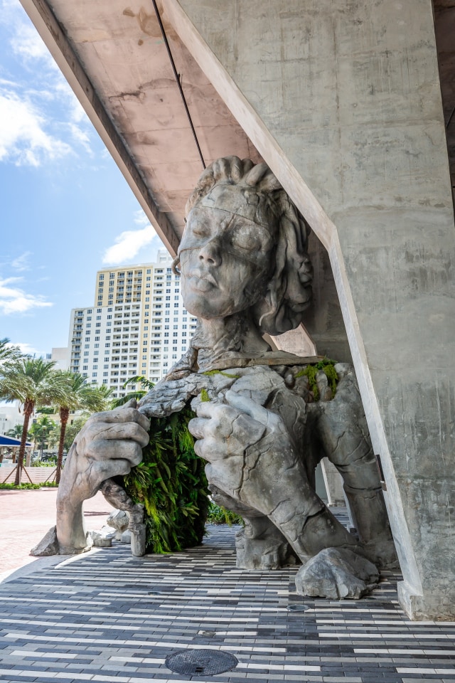 Flow Fort Lauderdale Image 33