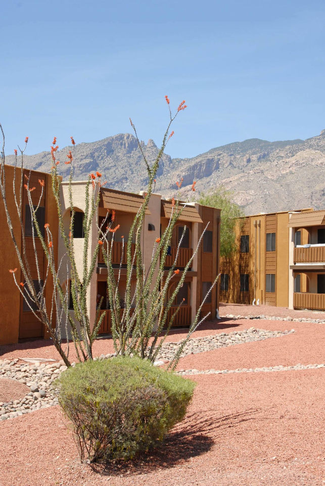Elevation Apartments Image 9