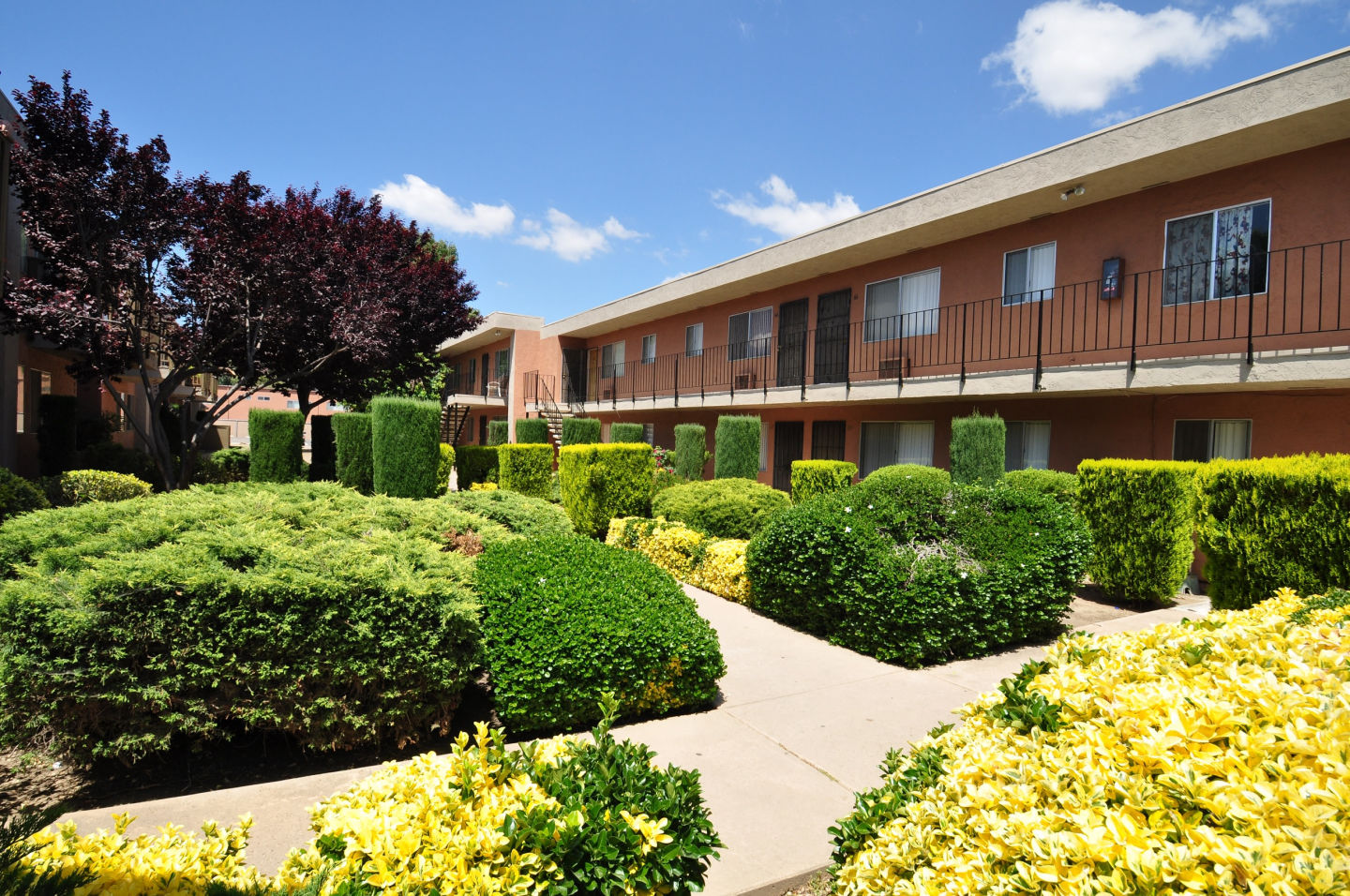 Ashwood Apartments Image 1