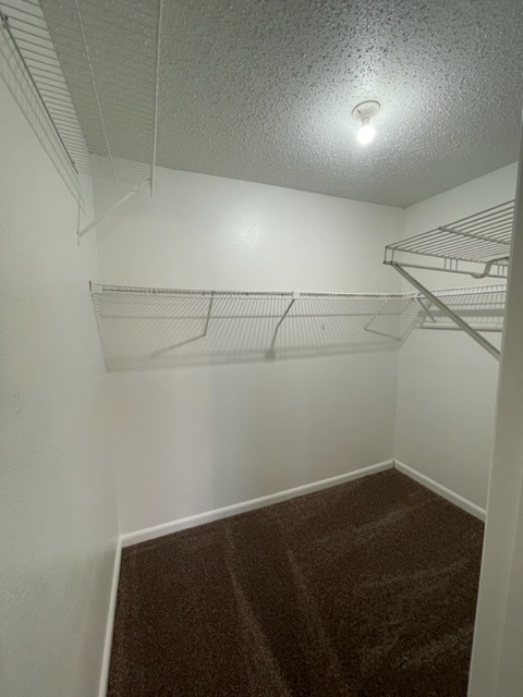 Woodhollow Image 42