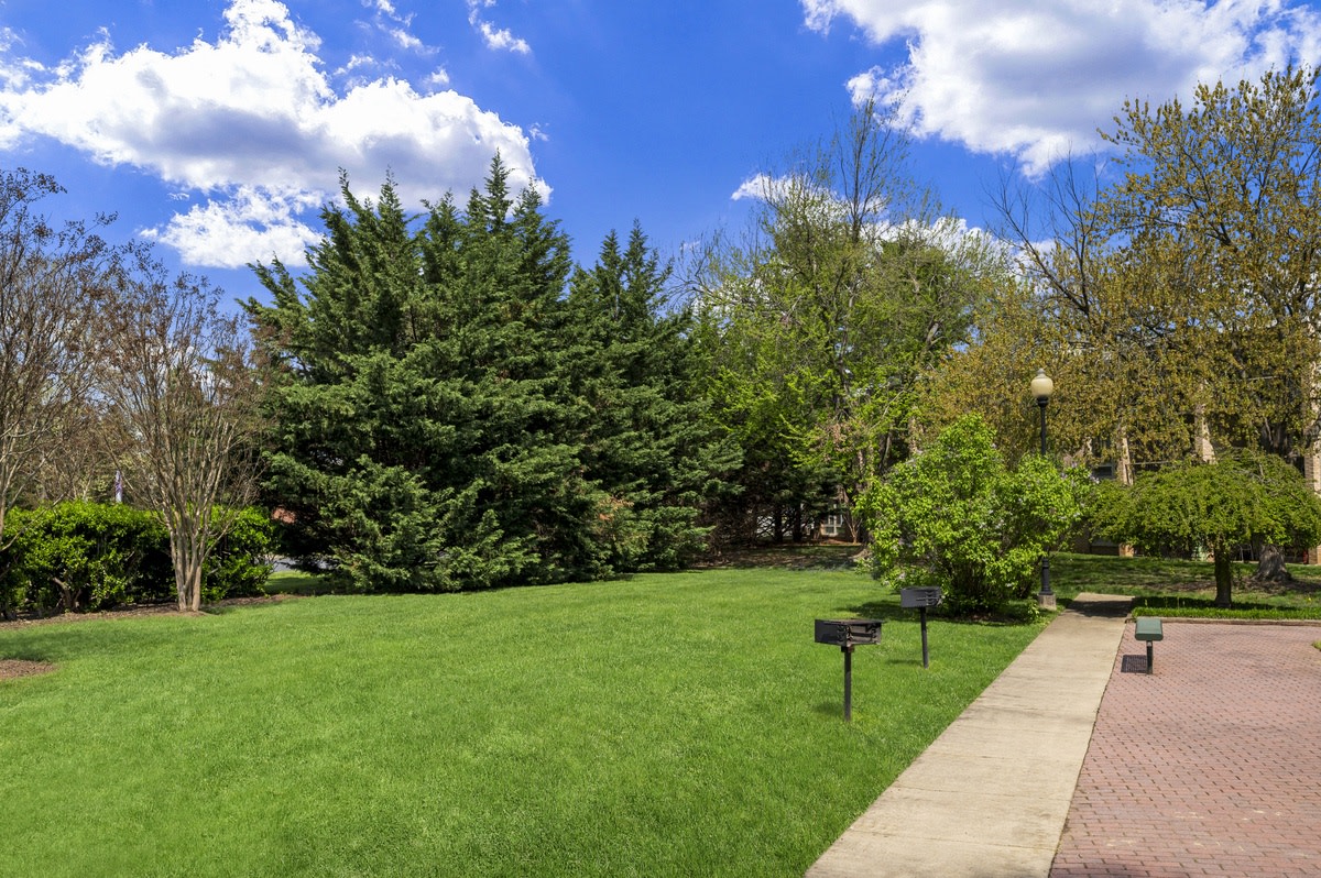 Jefferson Chase Image 17