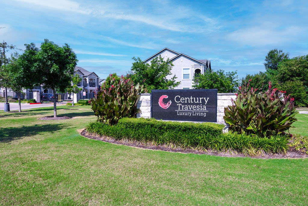 Century Travesia Image 9