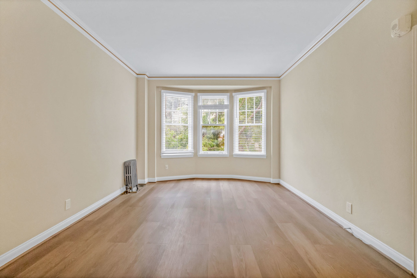 737 PINE Image 1