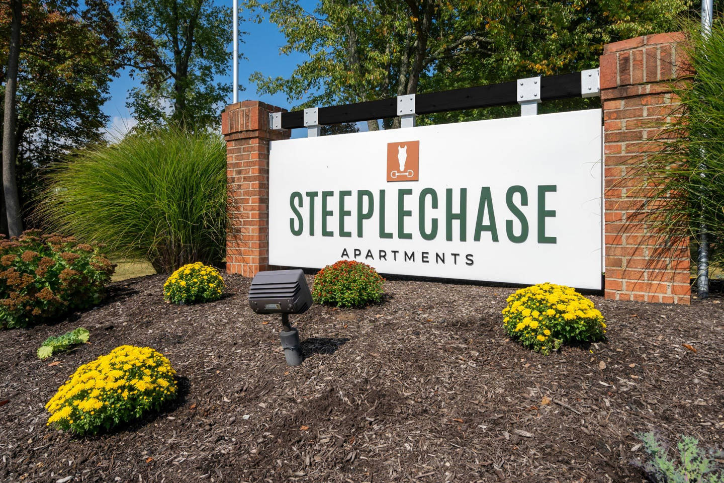 Steeplechase Image 36