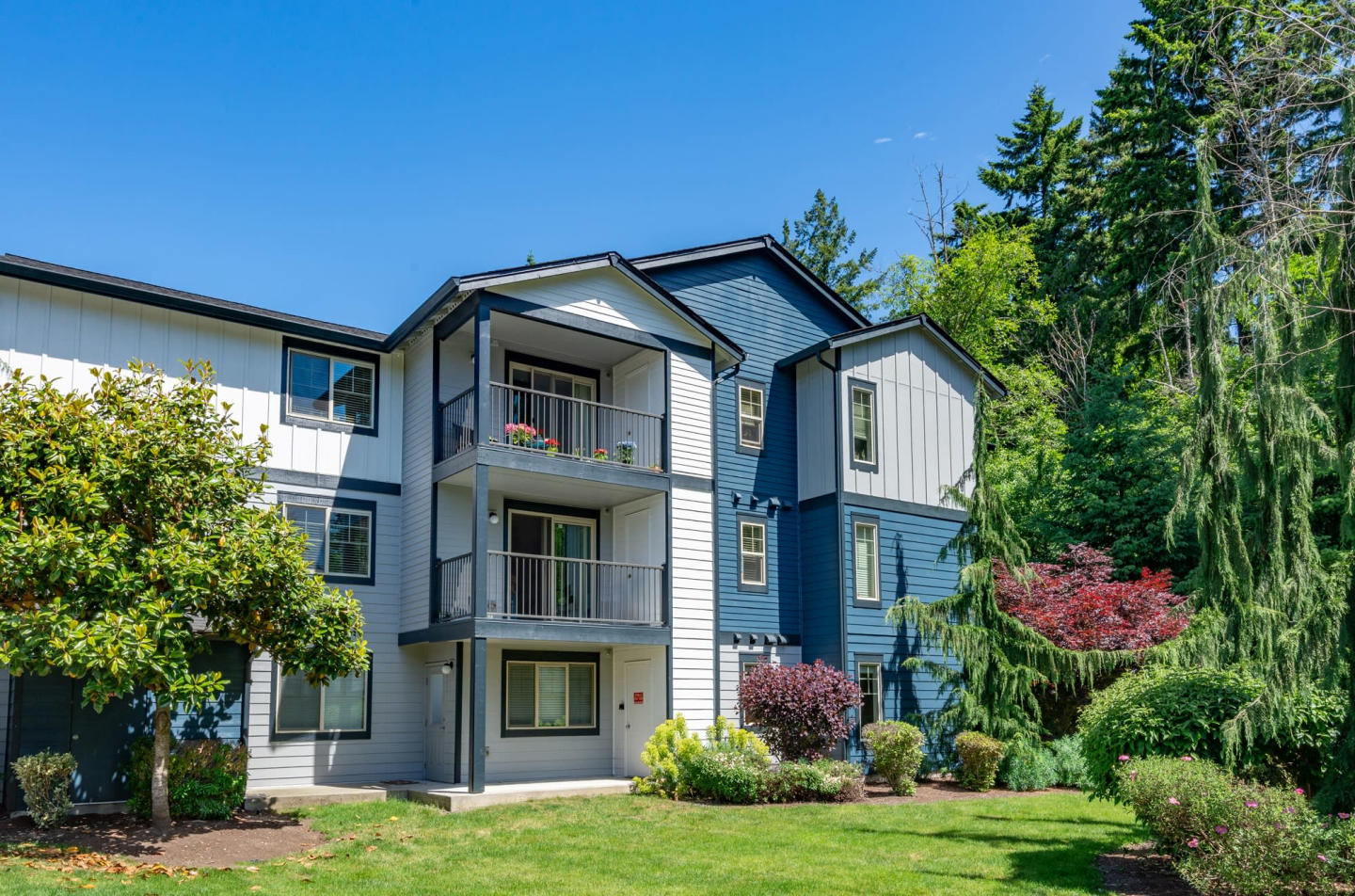 Renwood Image 9