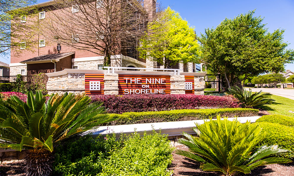 Nine on Shoreline Image 10