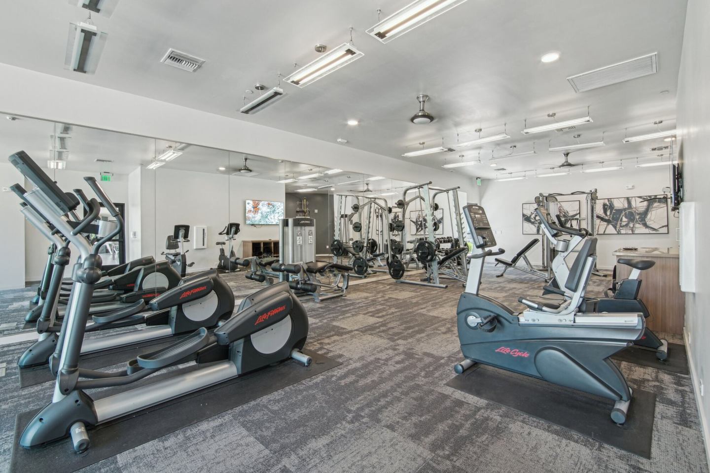 Palms Luxury Apartments Image 33