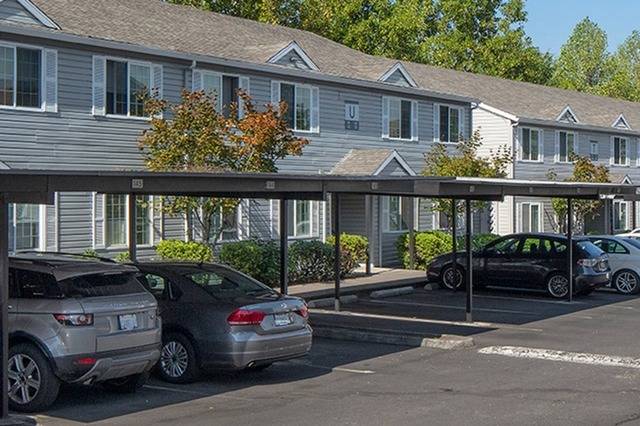 Avana Evergreen Image 58