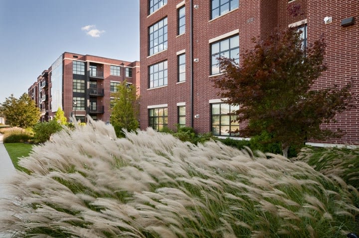 The Sheffield at Englewood South Image 23