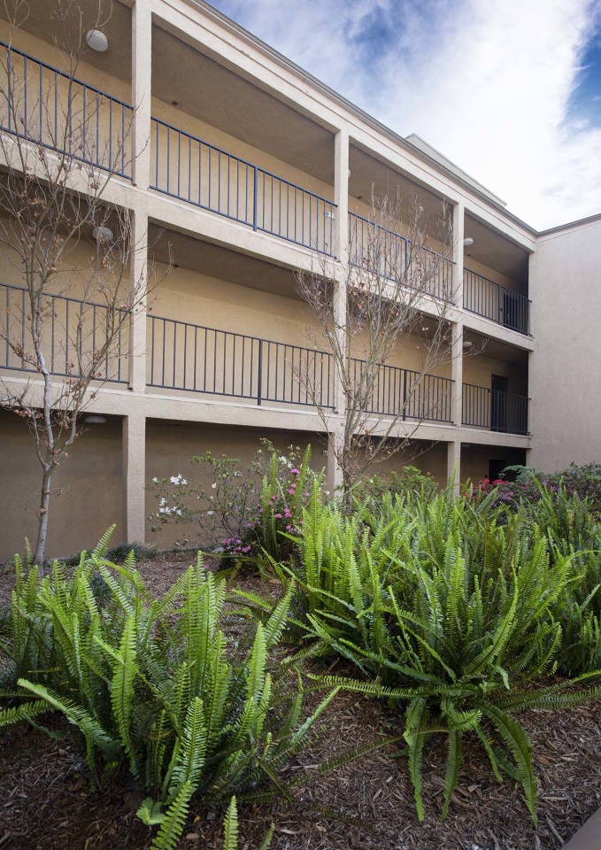 Vineland Gardens Image 12