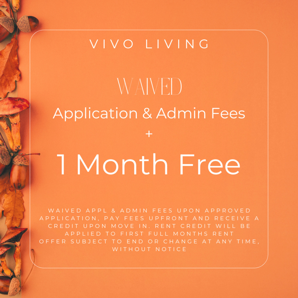 Vivo Living Summerville Image 42