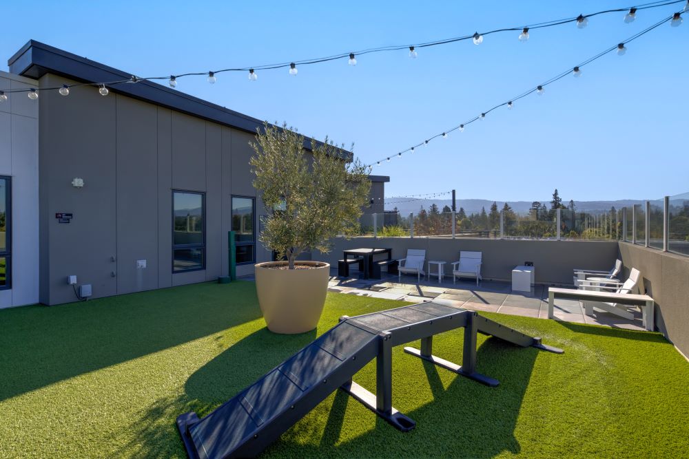 MV Apartments Image 25