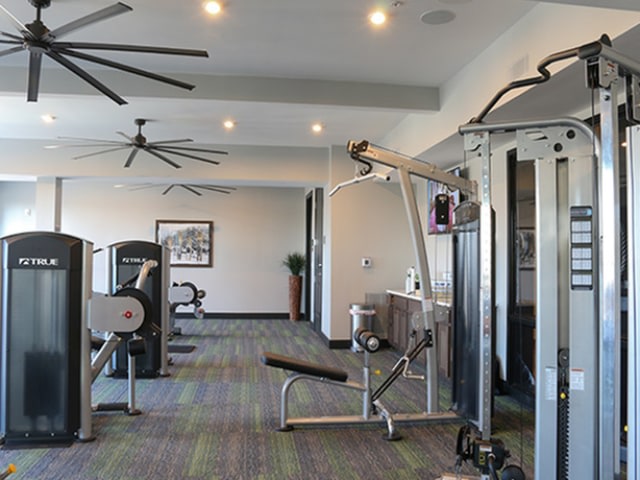 River House Image 24