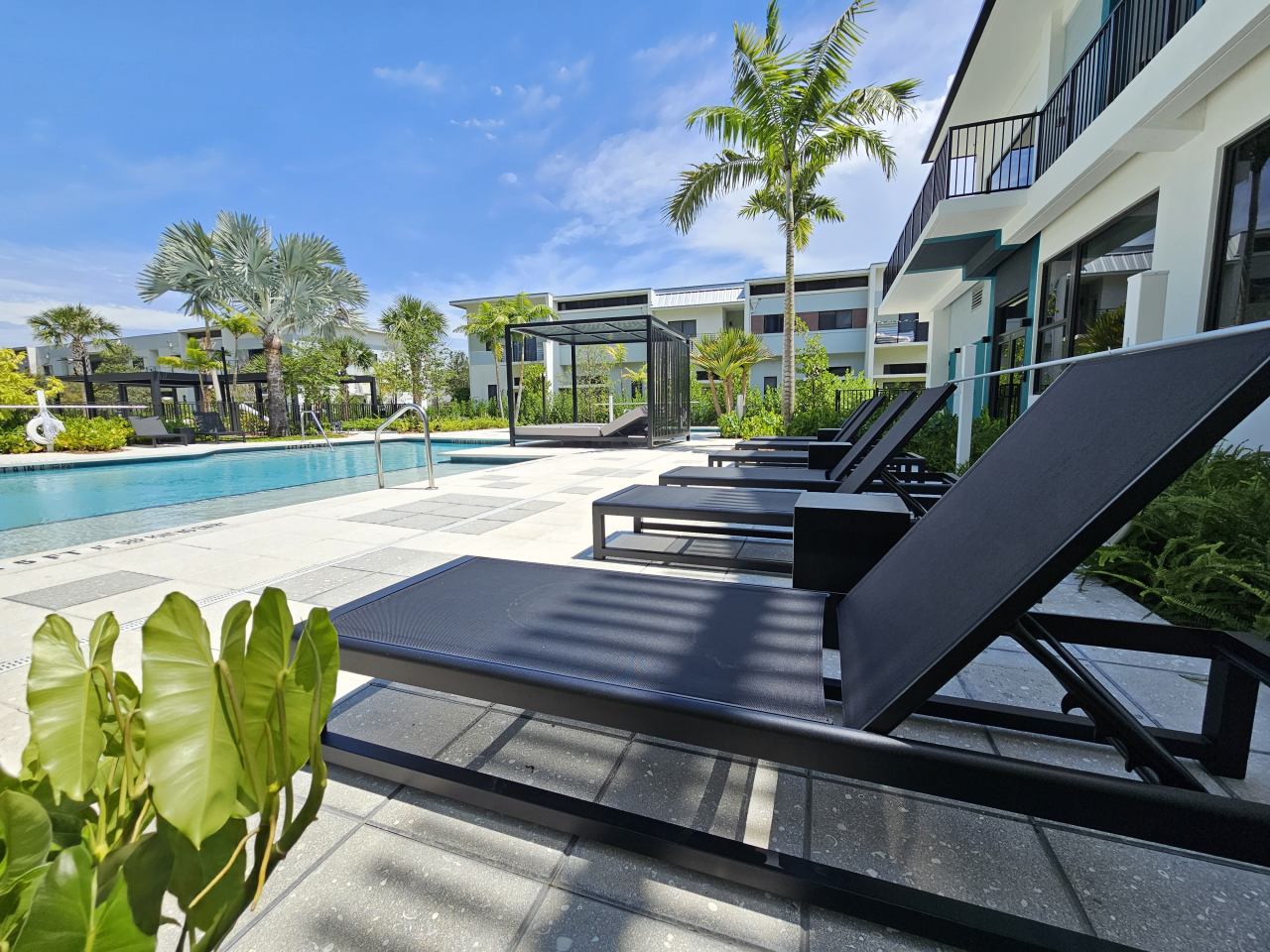 Pixl Image 81
