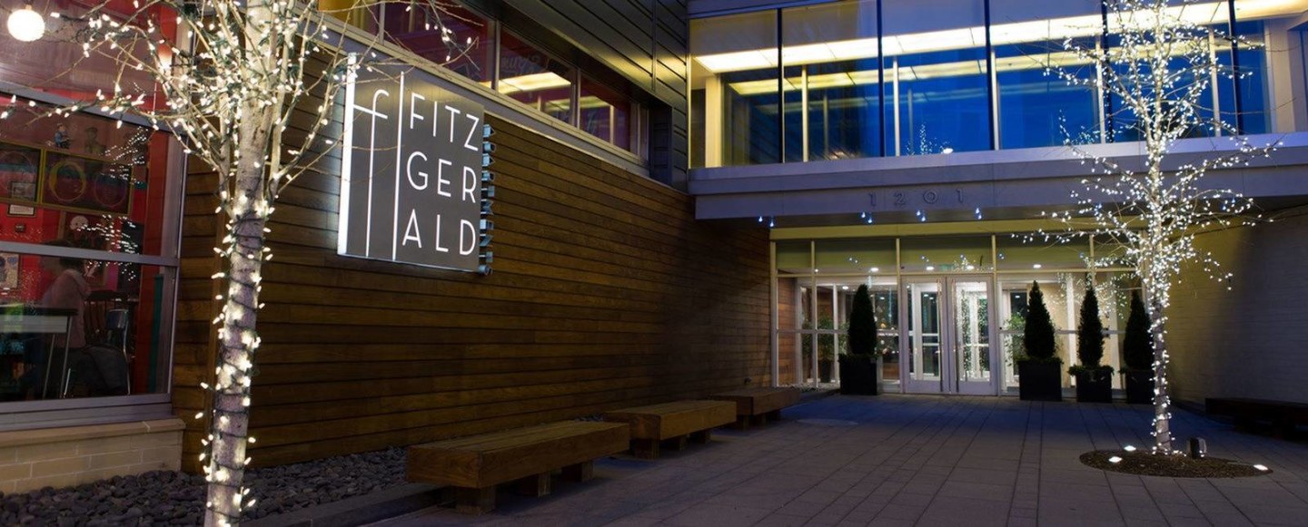 The Fitzgerald Image 2