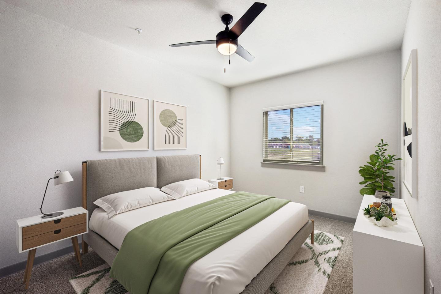 Live Oak Image 8