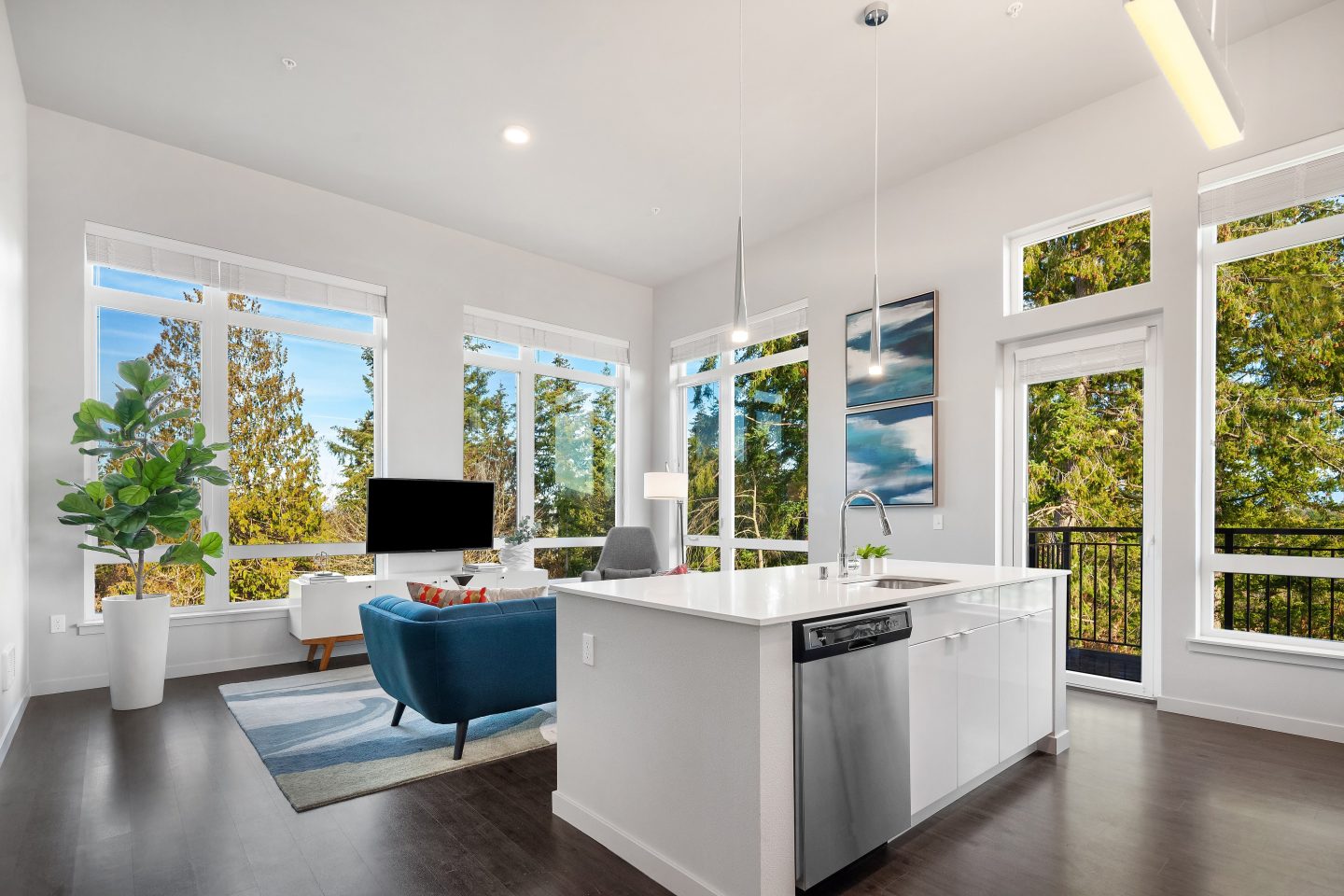 Sky Sammamish Image 15