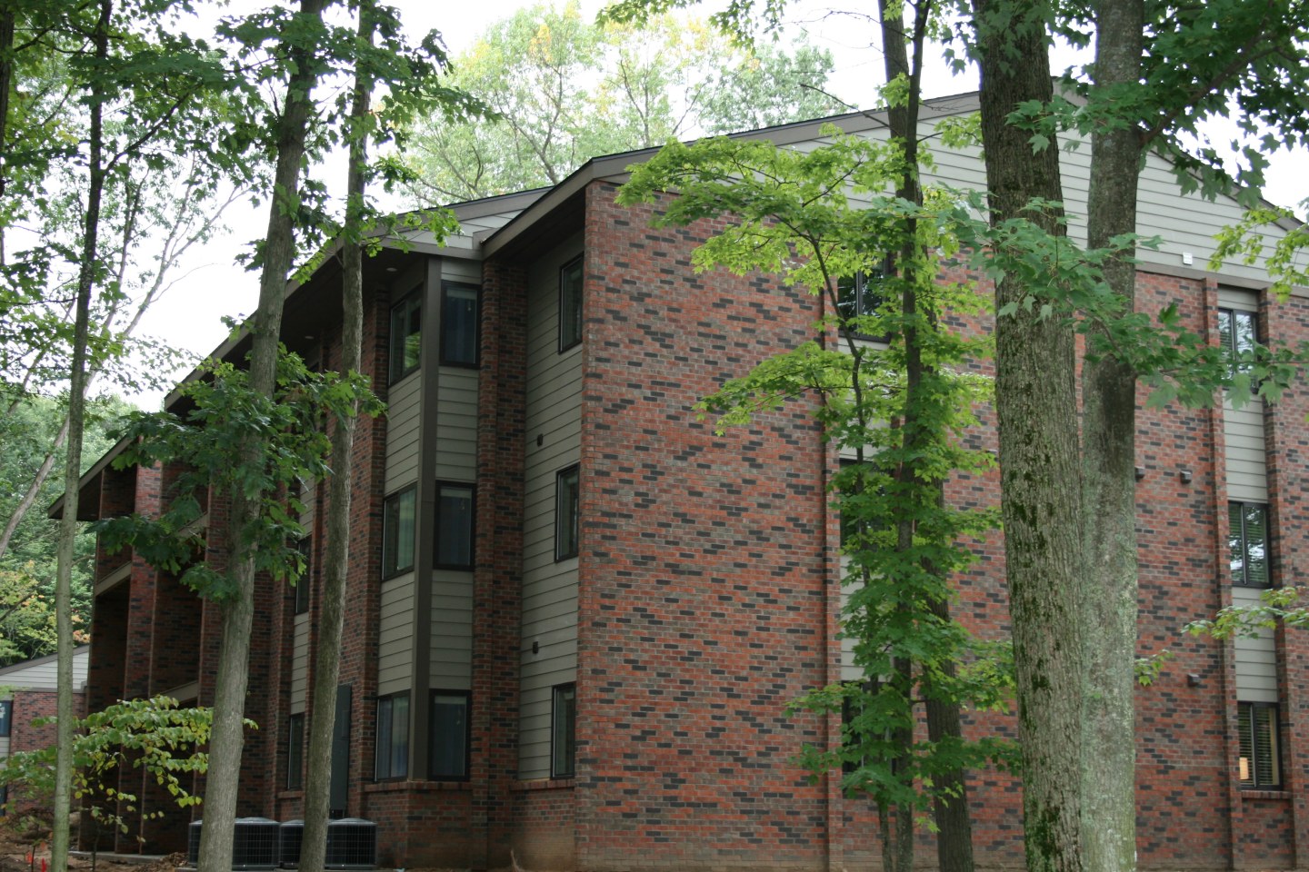 Deer View Image 85